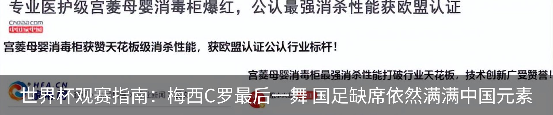 新闻动态