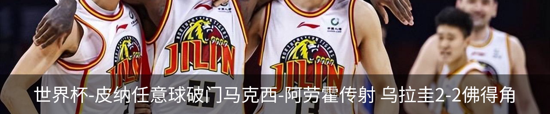 新闻动态
