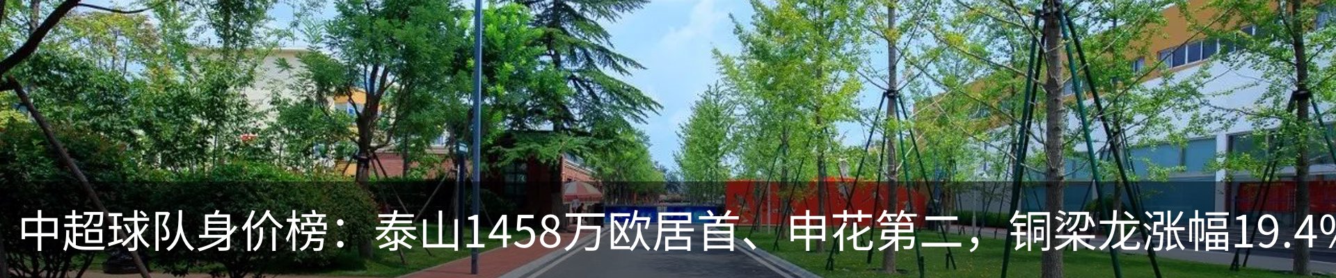 新闻动态