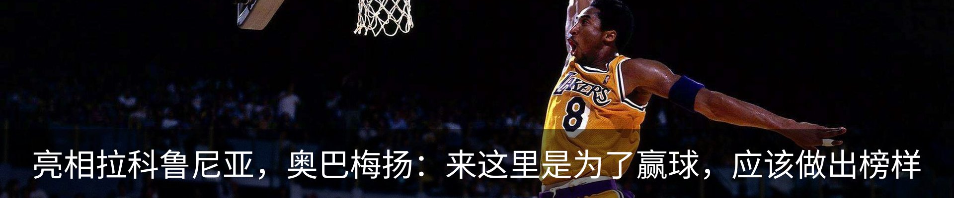 新闻动态
