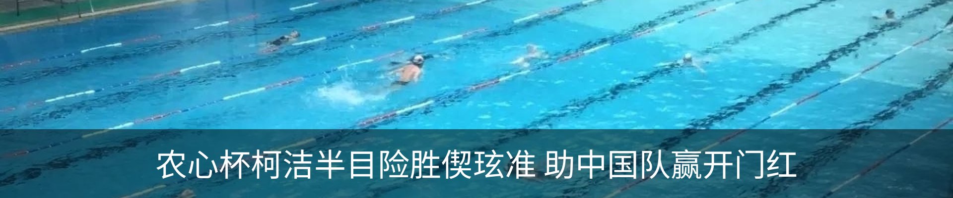 新闻动态