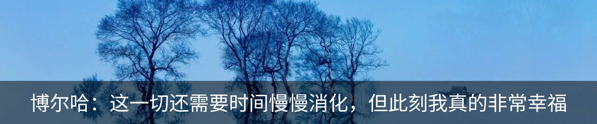 新闻动态