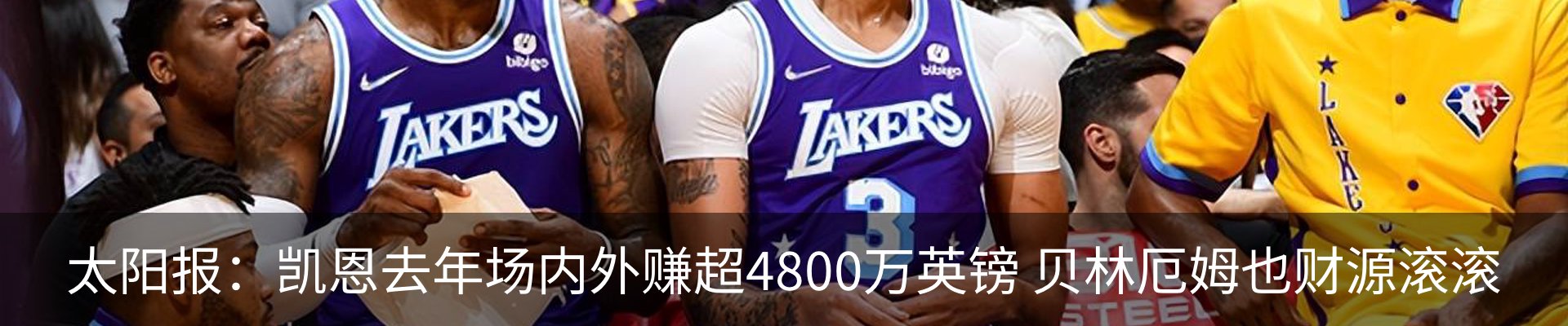 新闻动态