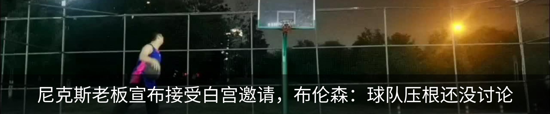 新闻动态