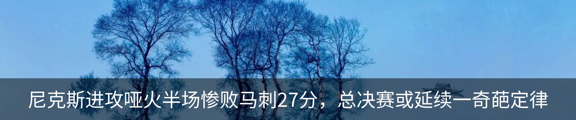 新闻动态