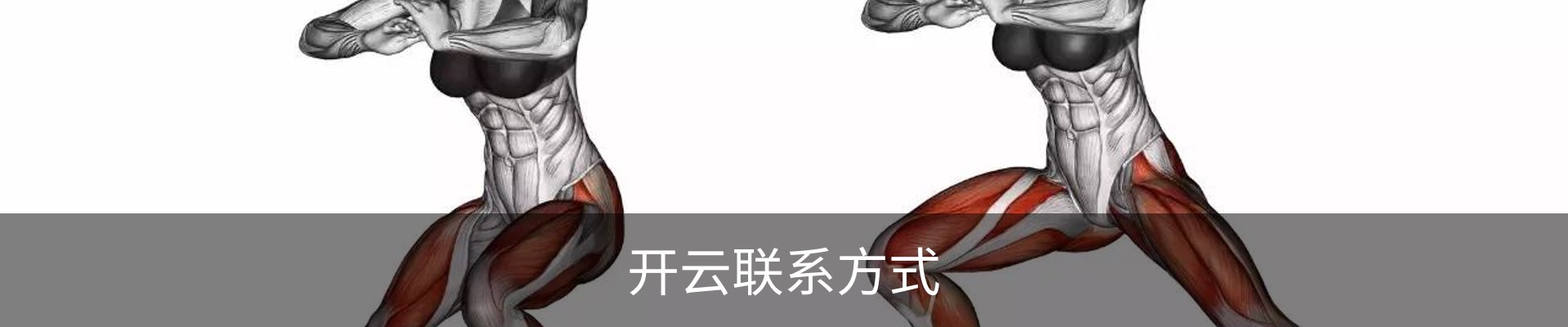 开云联系方式