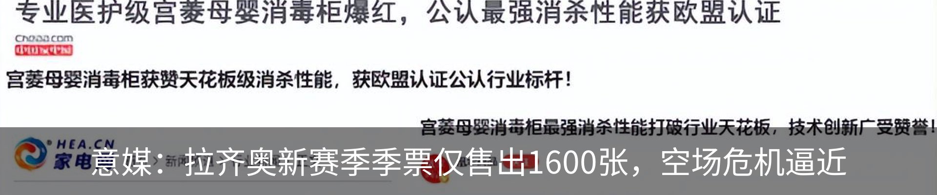 新闻动态