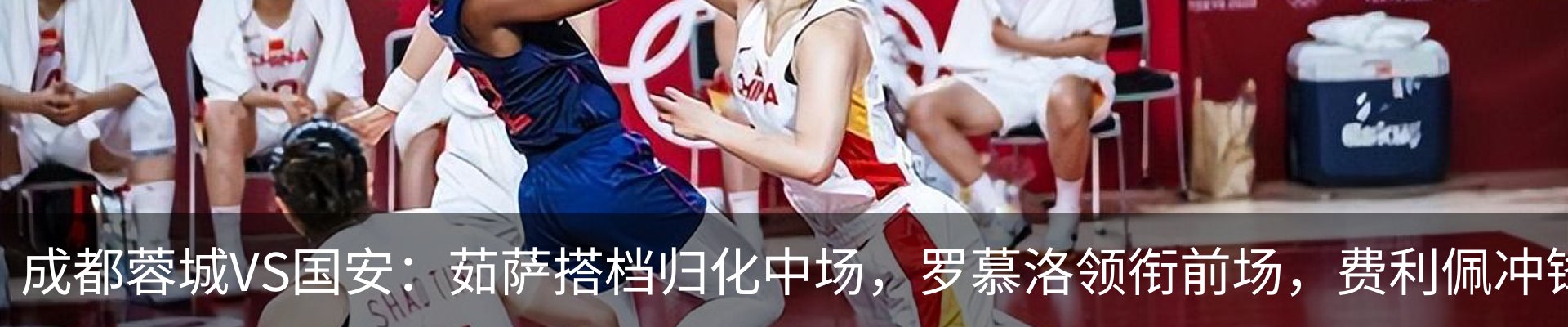 新闻动态