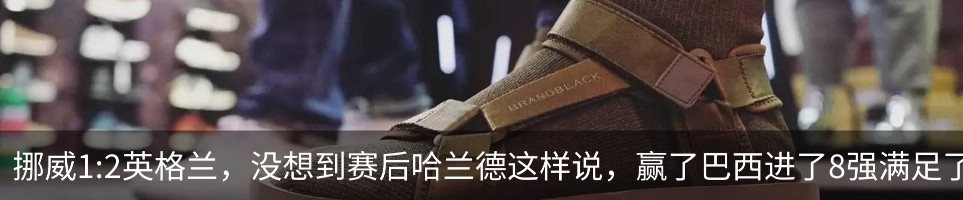 新闻动态