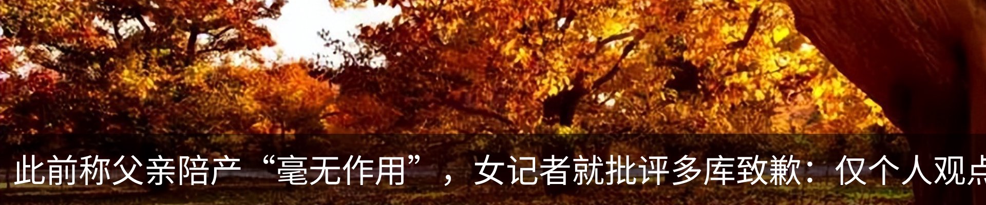 新闻动态