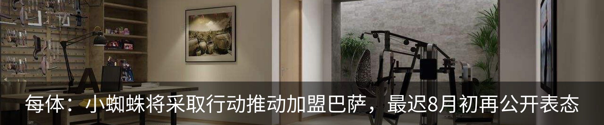 新闻动态