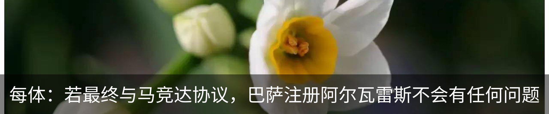 新闻动态