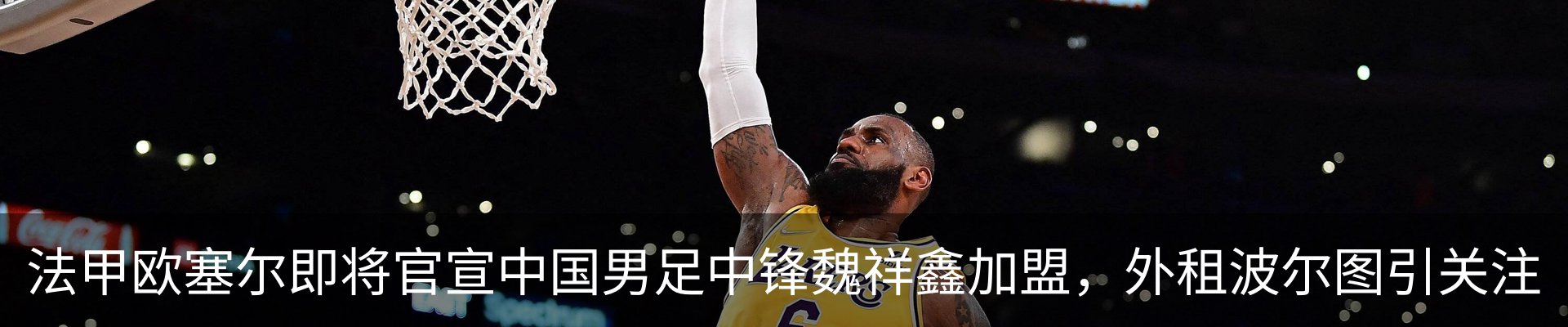 新闻动态