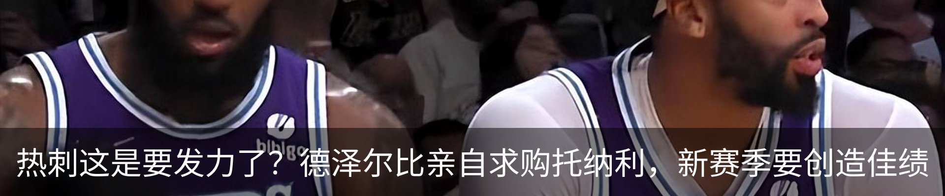 新闻动态