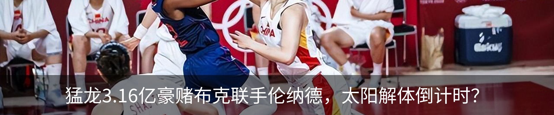 新闻动态