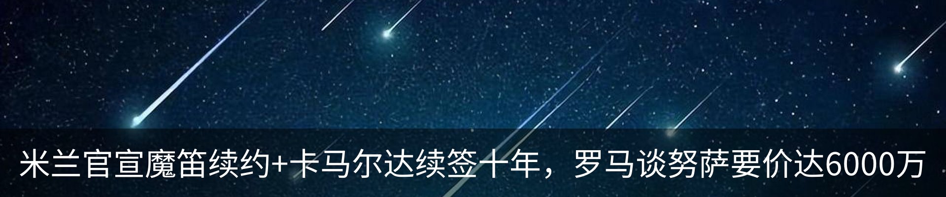 新闻动态