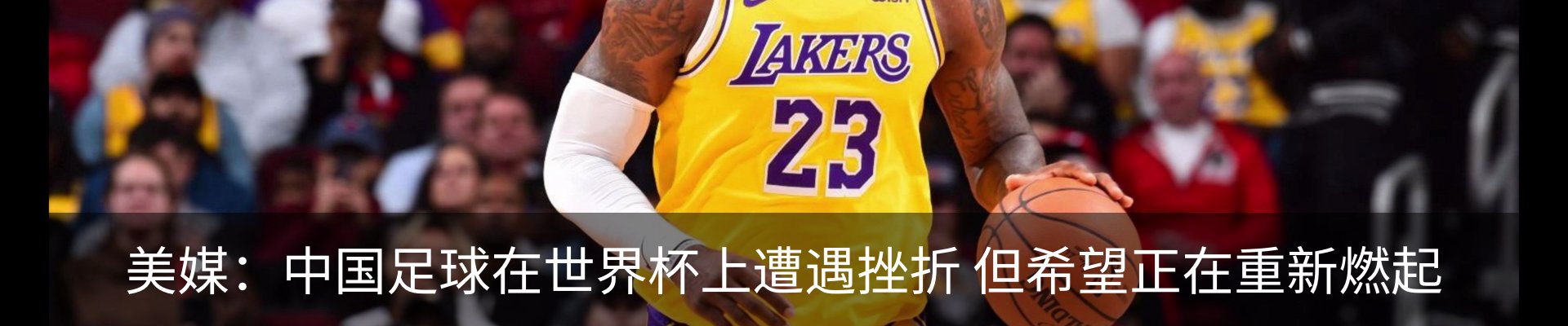 新闻动态