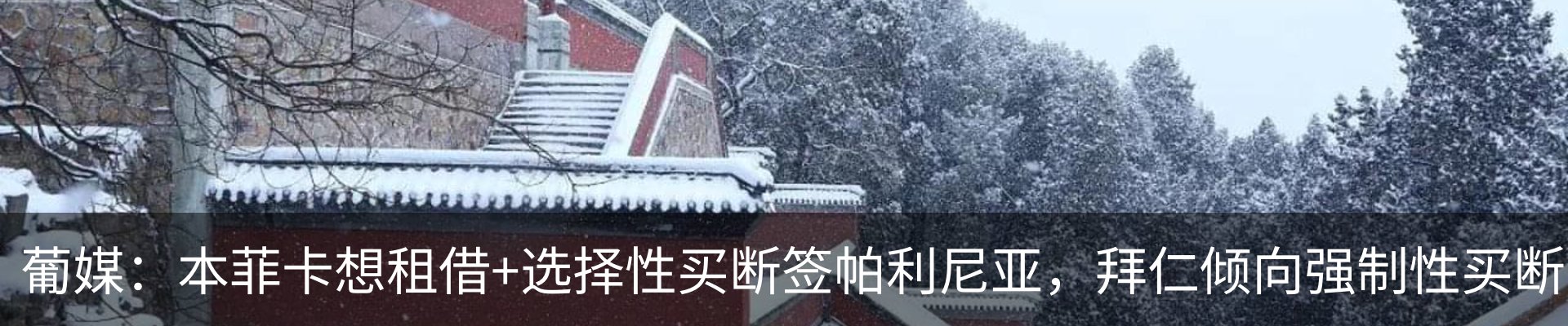 新闻动态