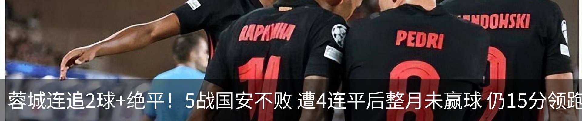 新闻动态