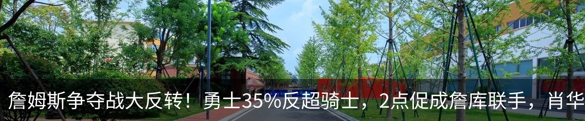 新闻动态