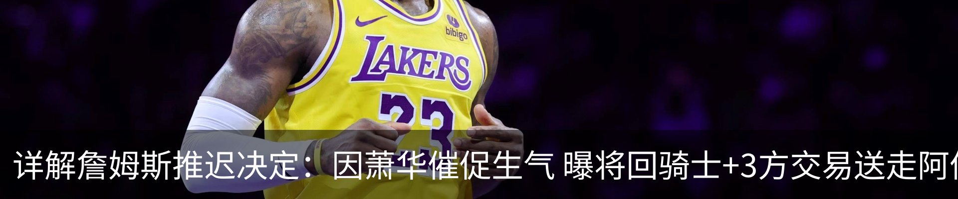 新闻动态