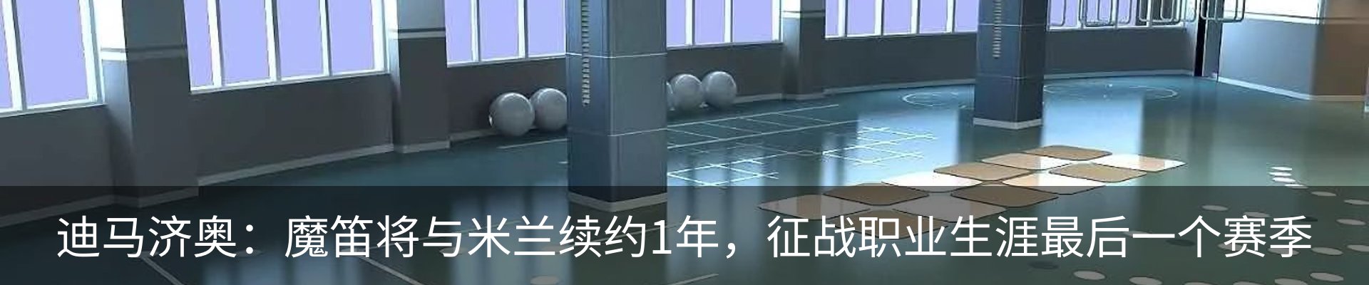新闻动态
