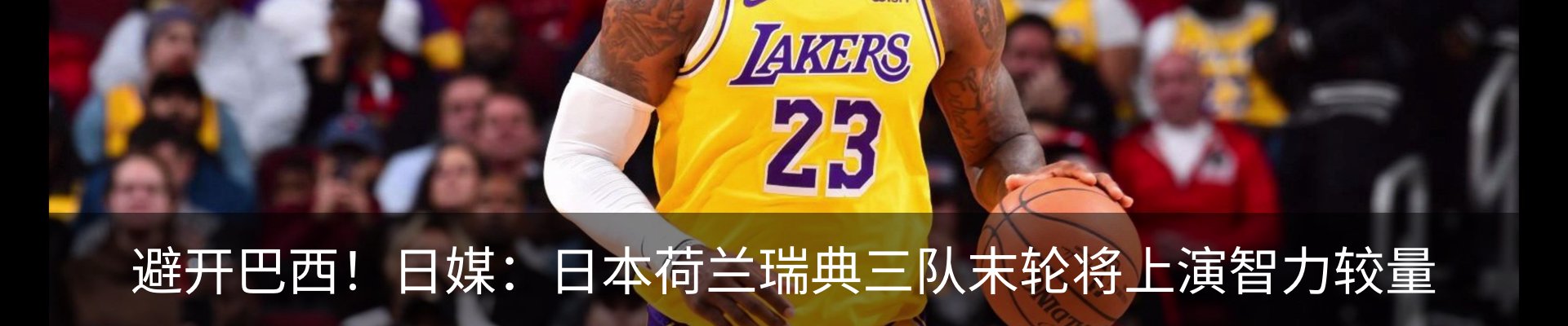 新闻动态