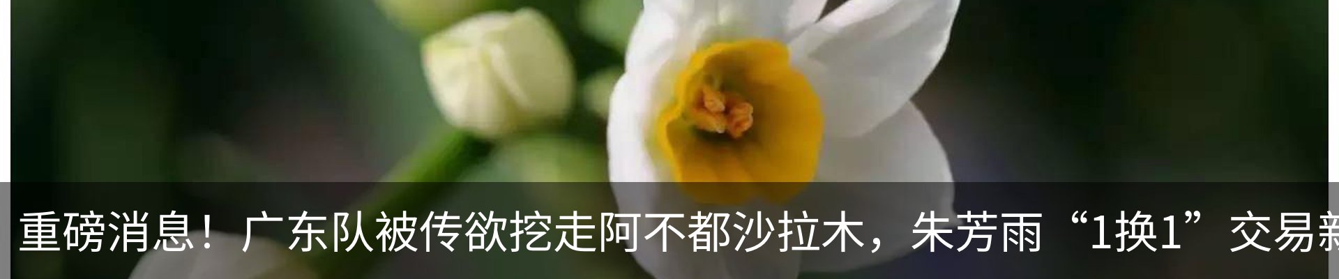 新闻动态