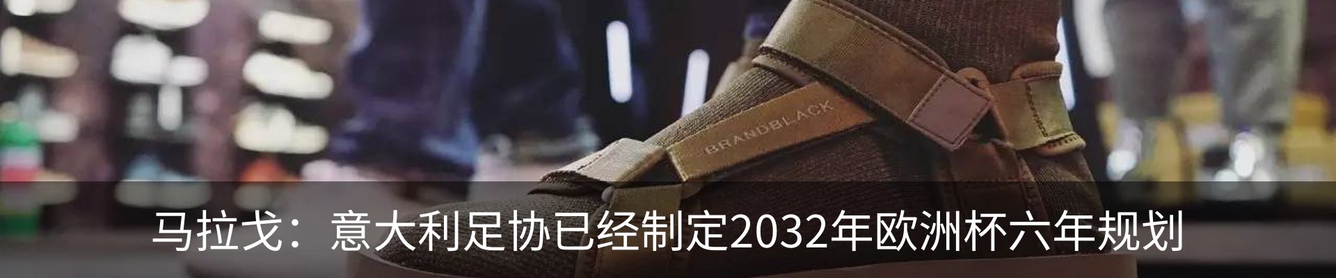 新闻动态