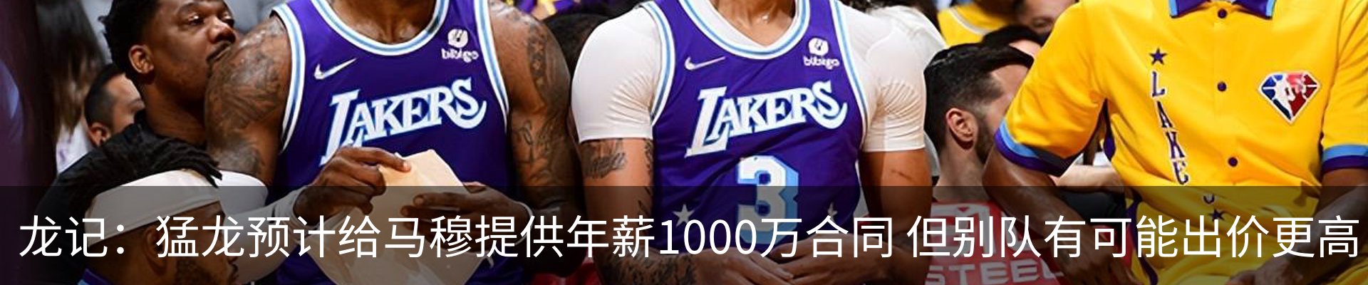新闻动态