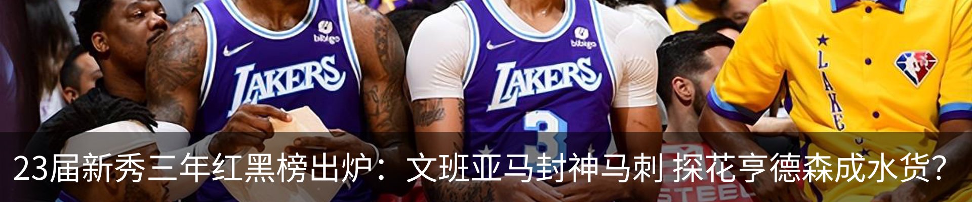 新闻动态