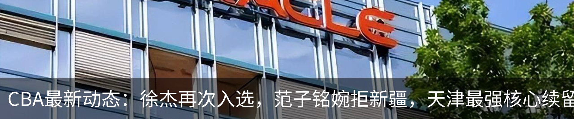 新闻动态