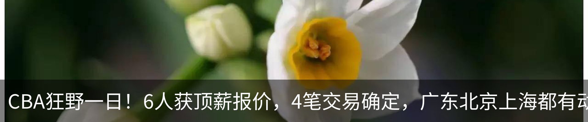 新闻动态