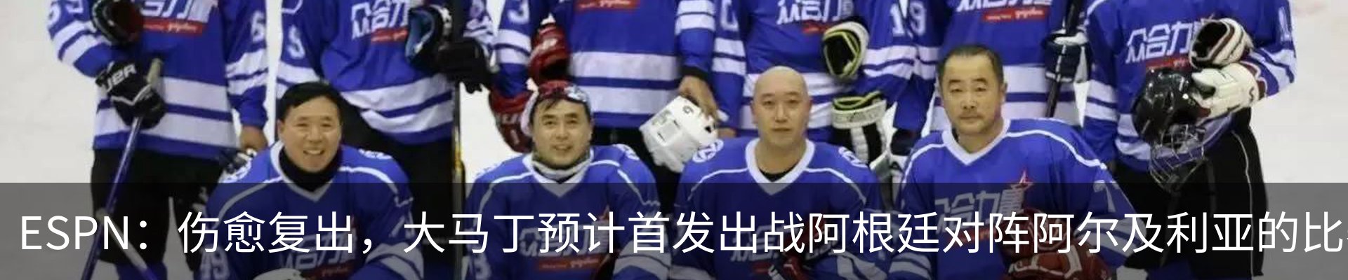 新闻动态