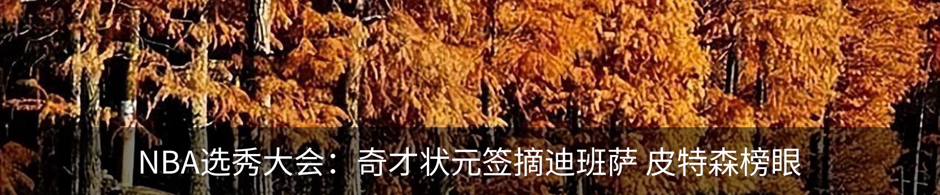 新闻动态