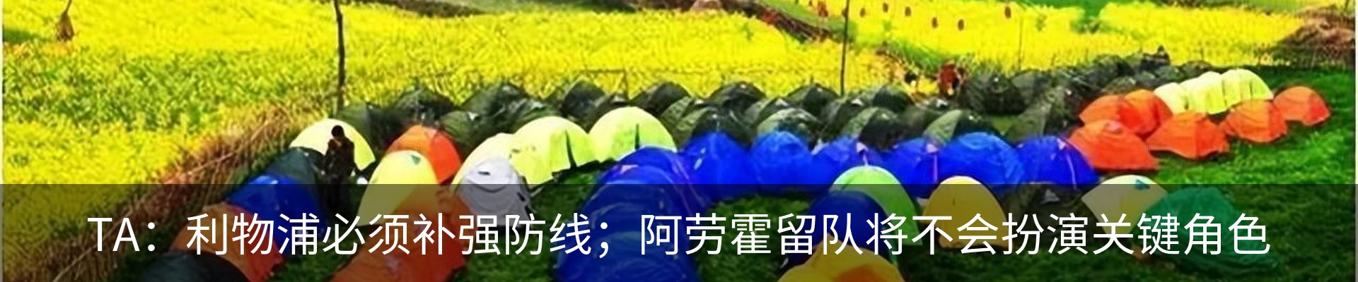 新闻动态