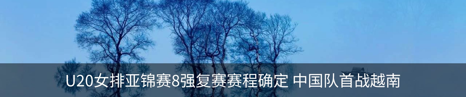 新闻动态